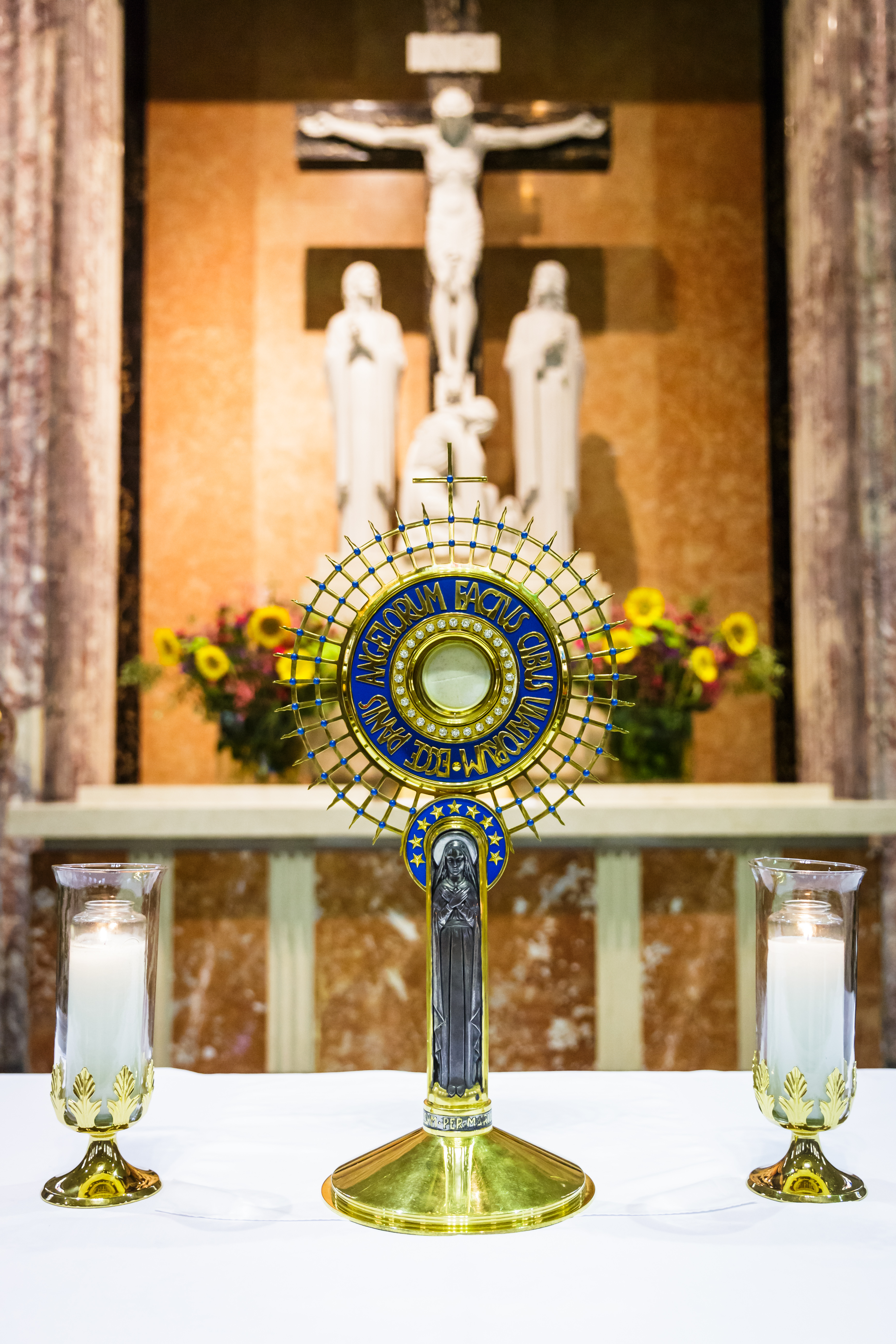 Eucharistic Adoration > Mary Queen of Peace Catholic Church